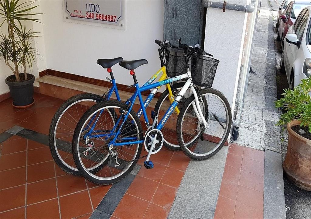 Vista ingrandita