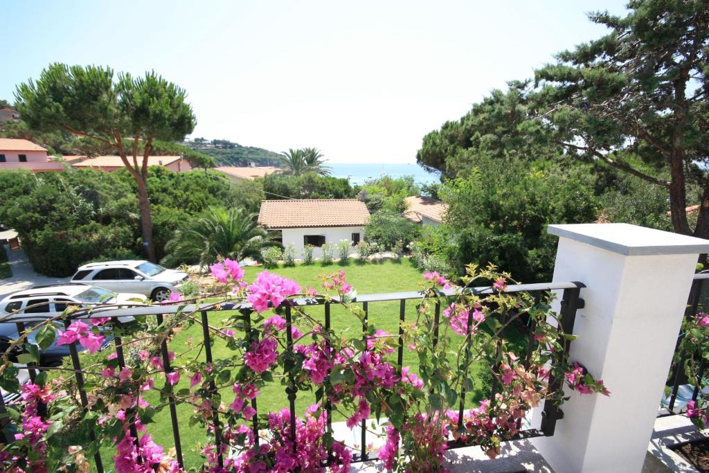 Vista ingrandita