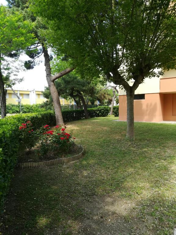 Vista ingrandita