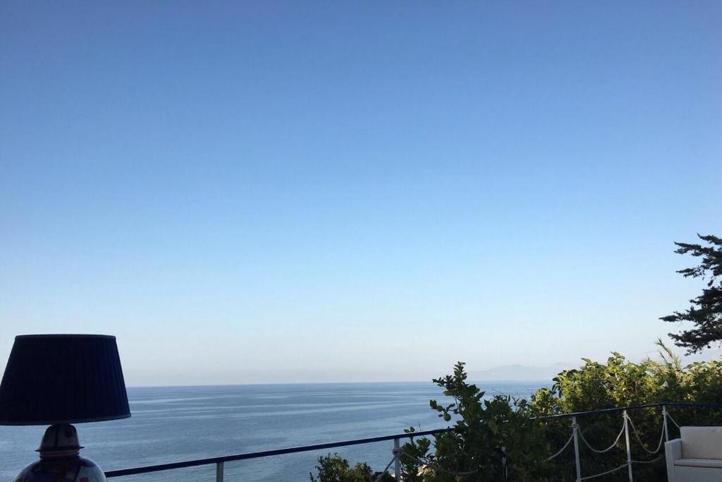 Vista ingrandita