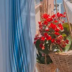 Vista ingrandita