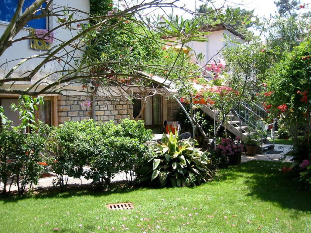 Vista ingrandita