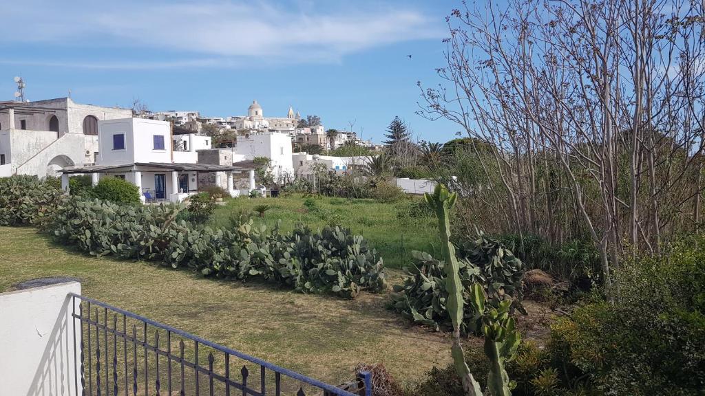 Vista ingrandita