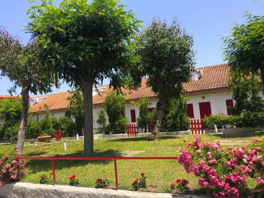 Vista ingrandita