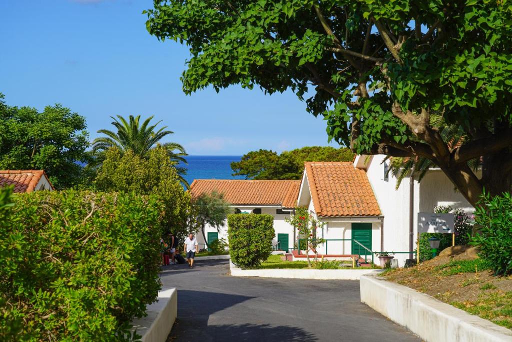 Vista ingrandita