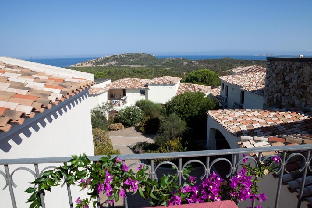 Vista ingrandita