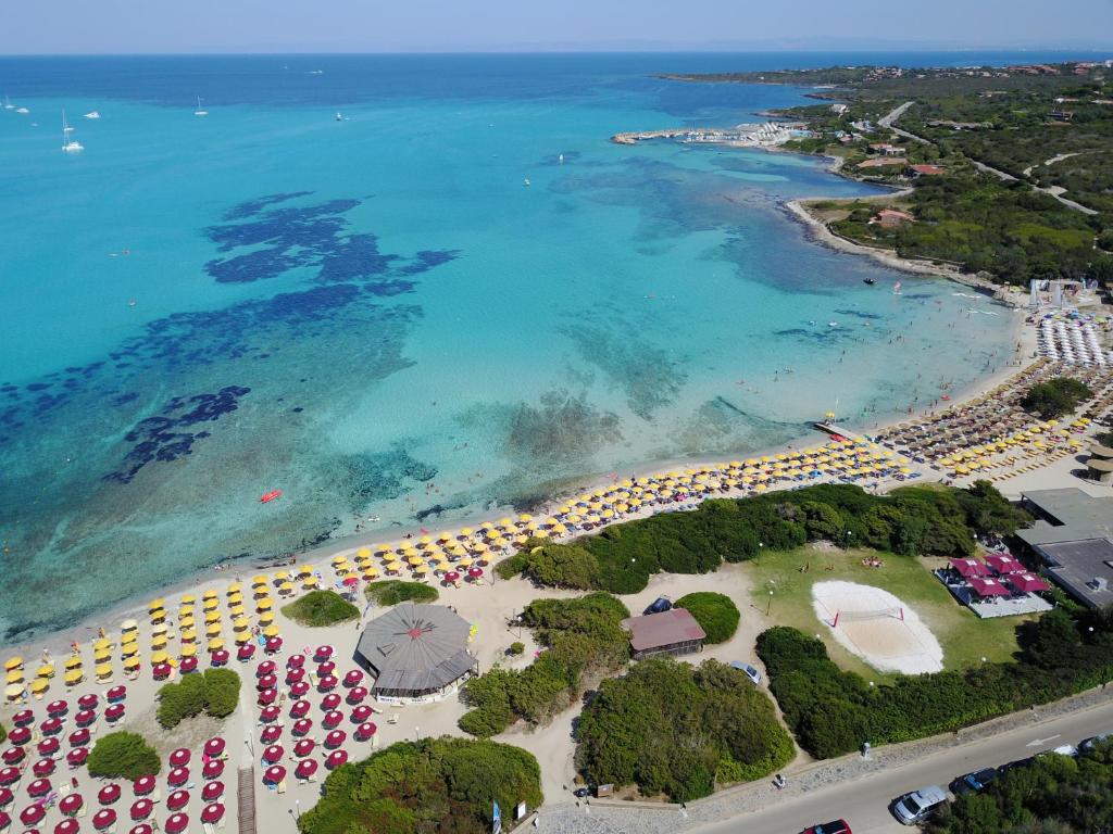 Vista ingrandita