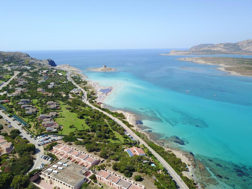 Vista ingrandita