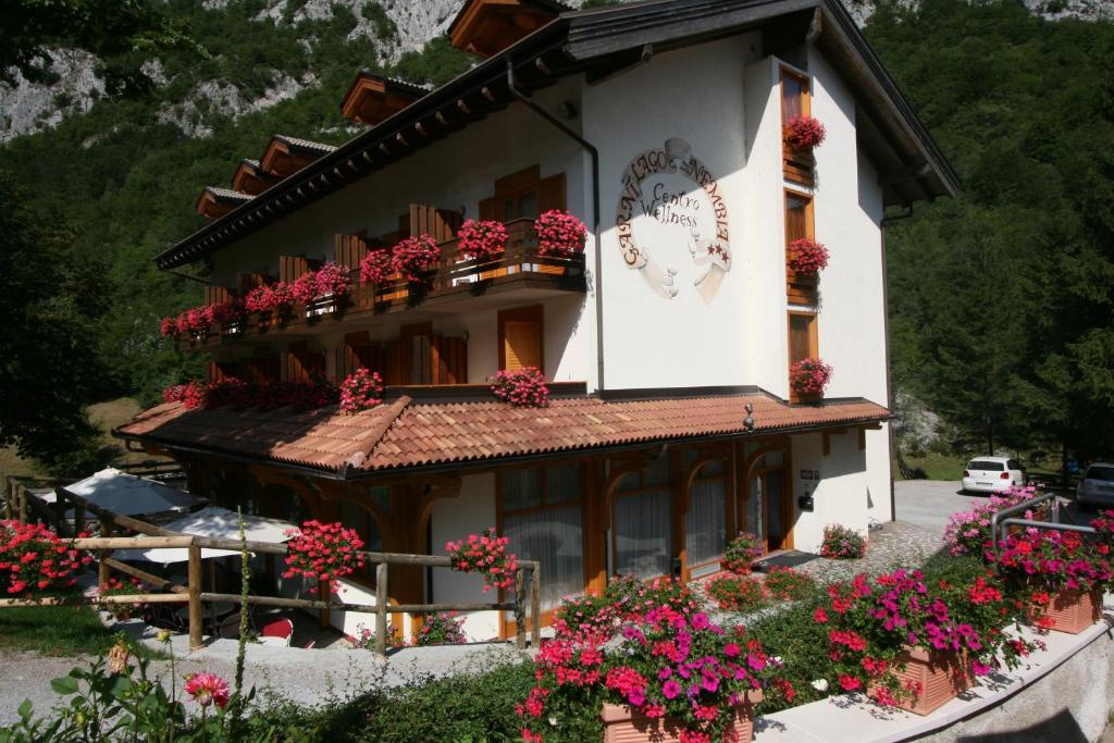 Vista ingrandita