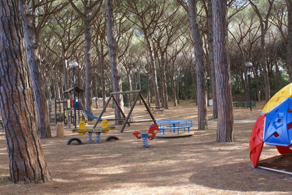 Vista ingrandita