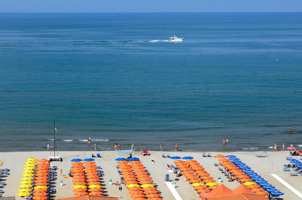 Vista ingrandita