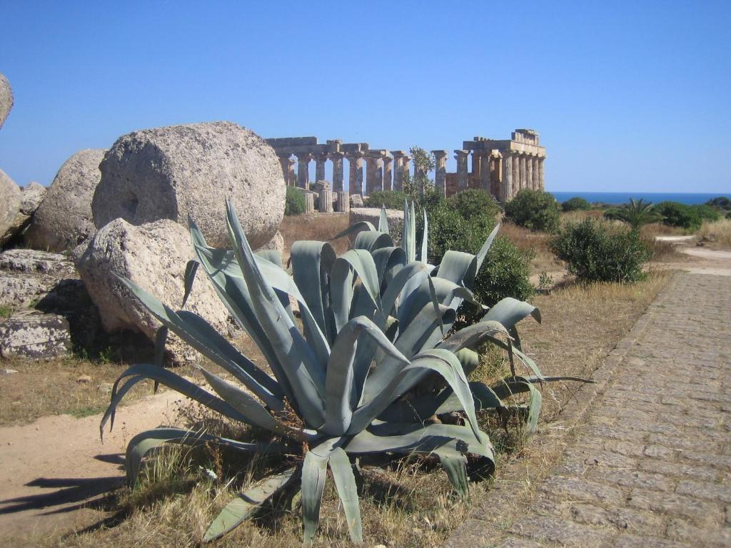 Vista ingrandita