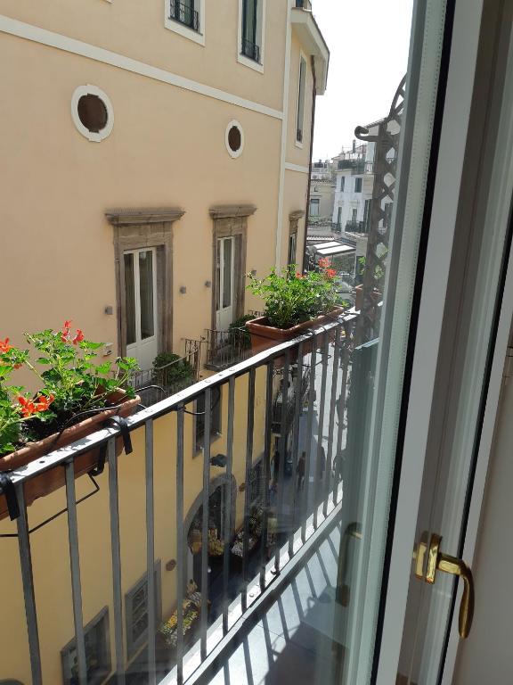 Vista ingrandita