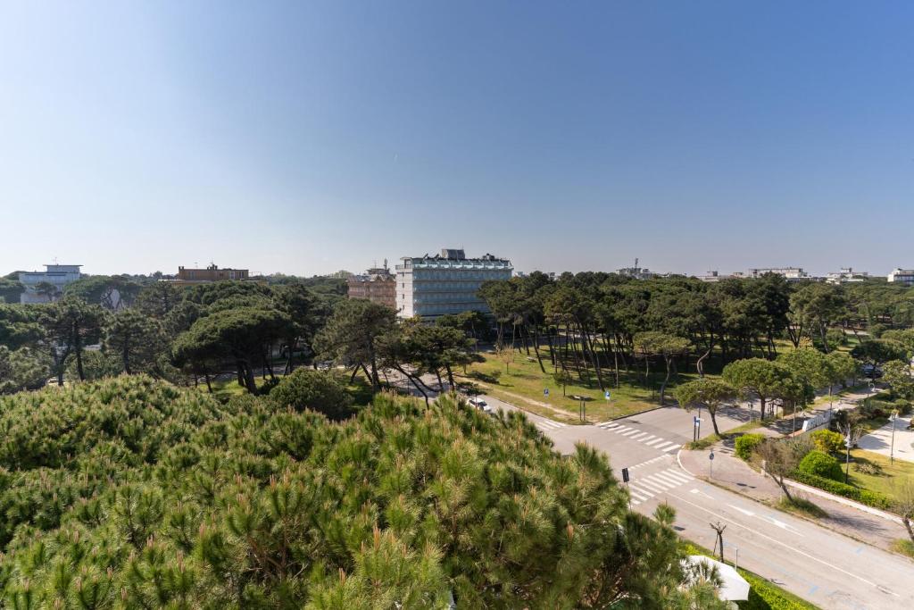 Vista ingrandita