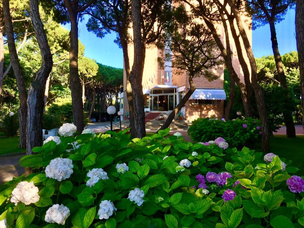 Vista ingrandita