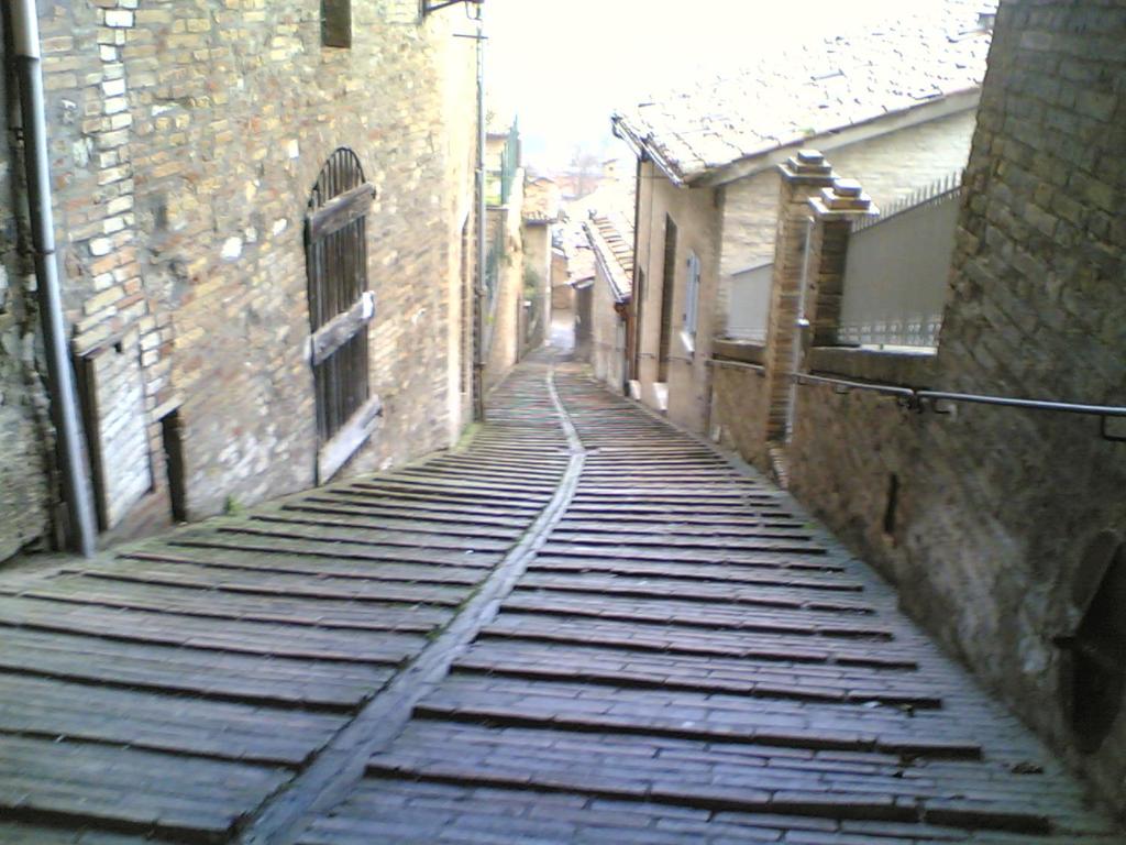 Vista ingrandita