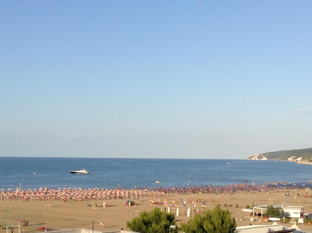 Vista ingrandita