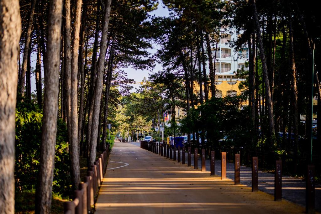 Vista ingrandita