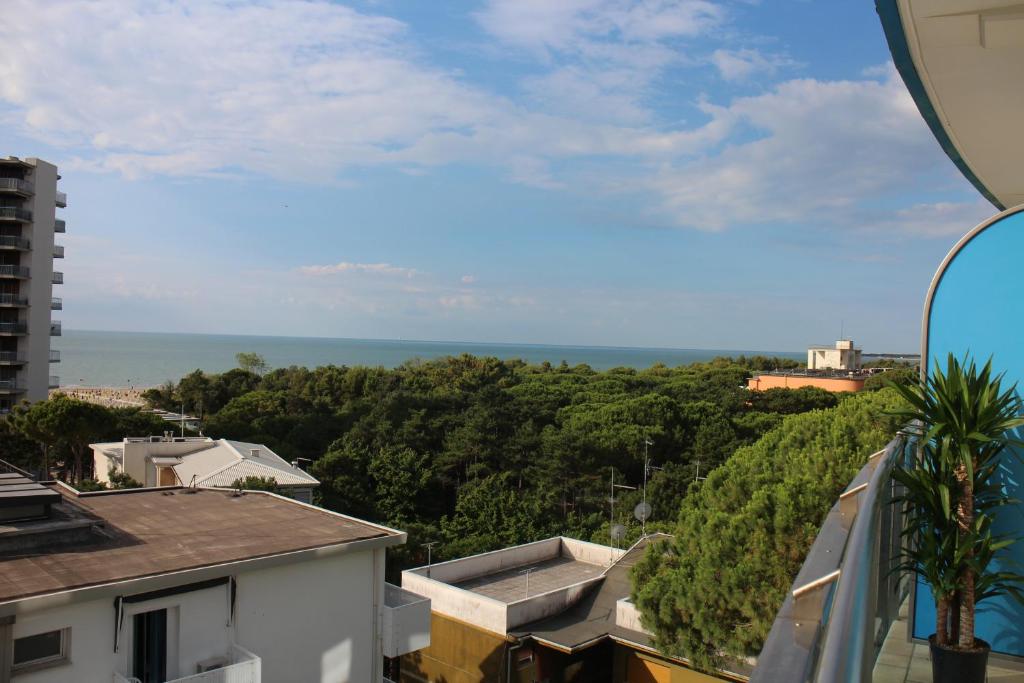 Vista ingrandita
