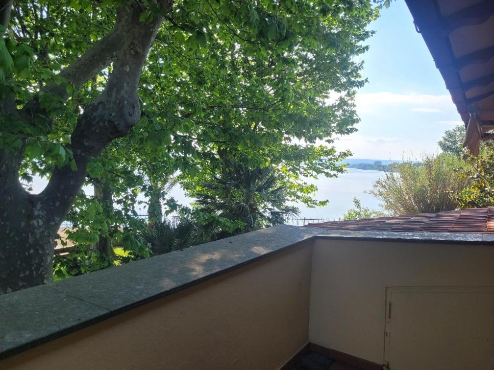 Vista ingrandita