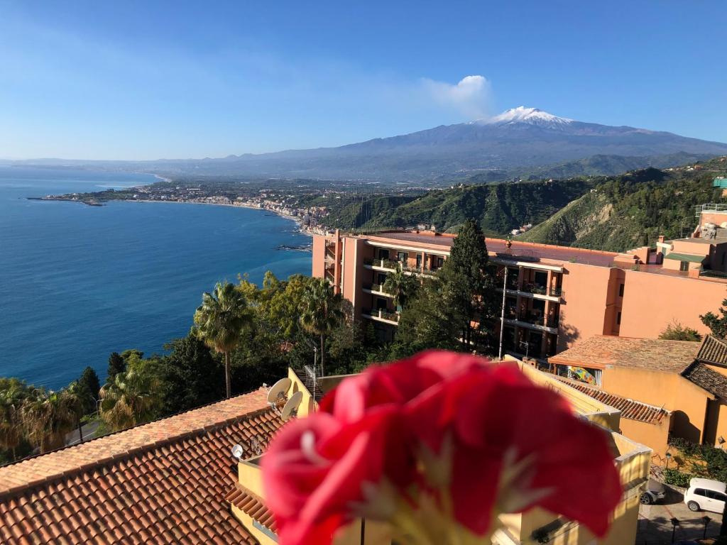 Vista ingrandita