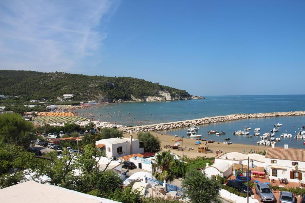 Vista ingrandita