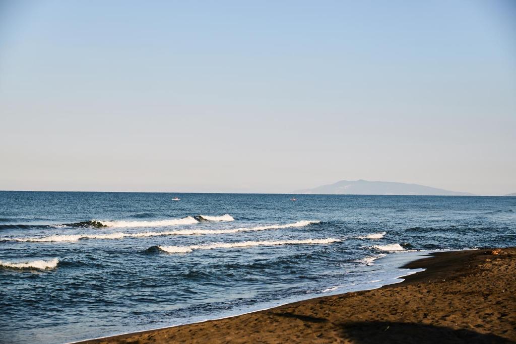 Vista ingrandita
