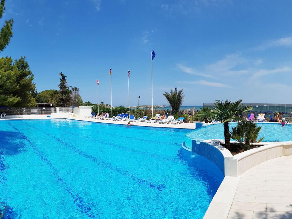 Vista ingrandita