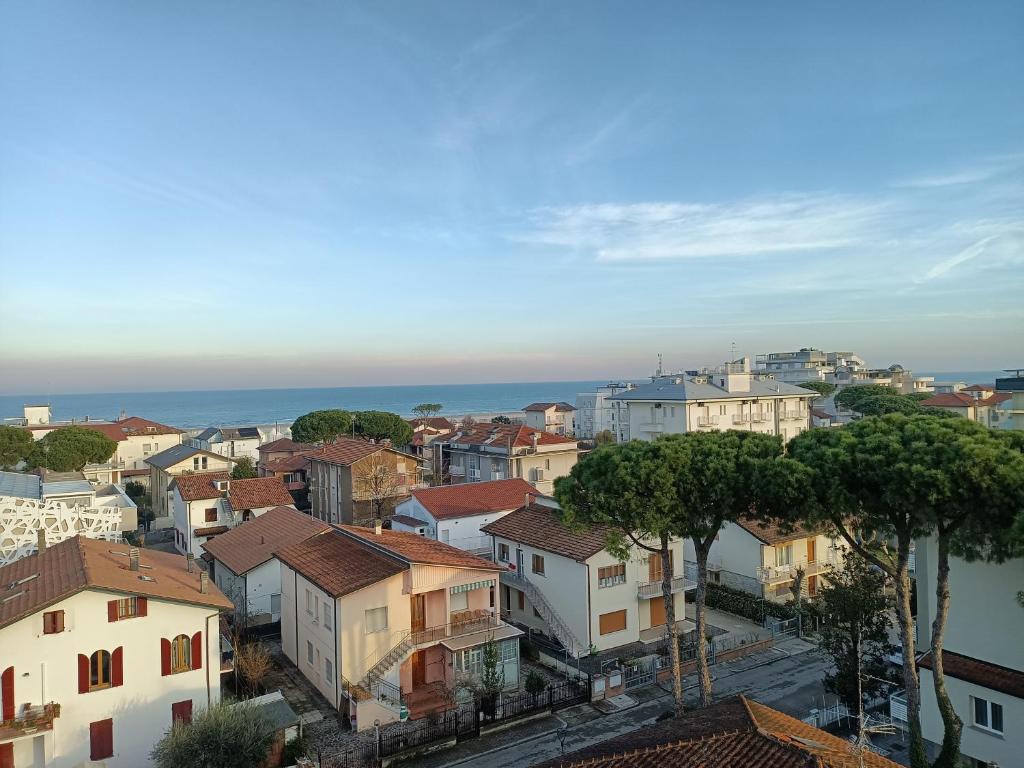 Vista ingrandita