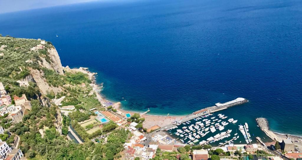 Vista ingrandita
