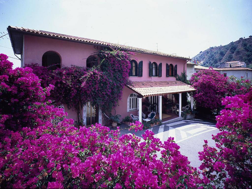 Vista ingrandita