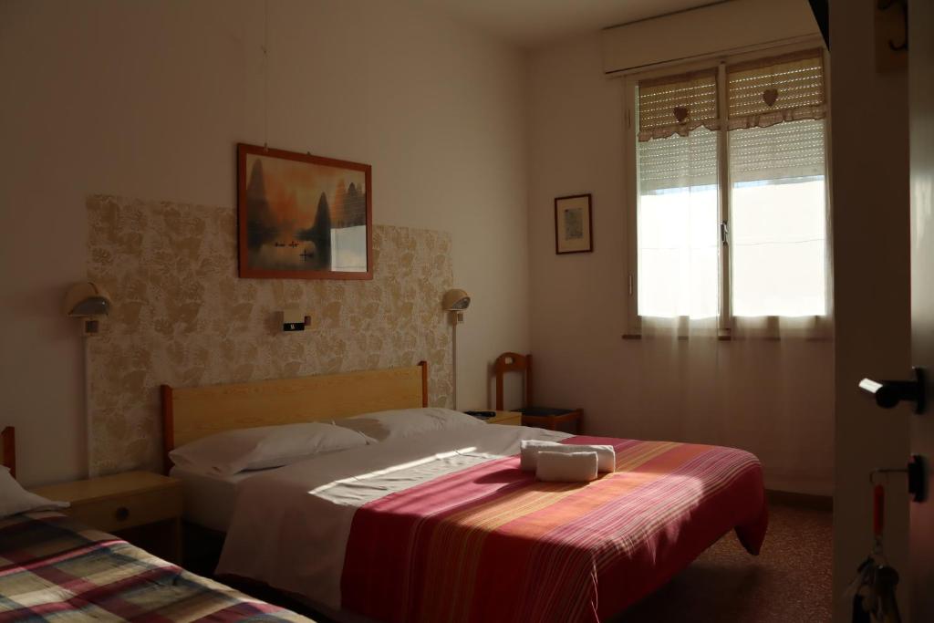 Vista ingrandita