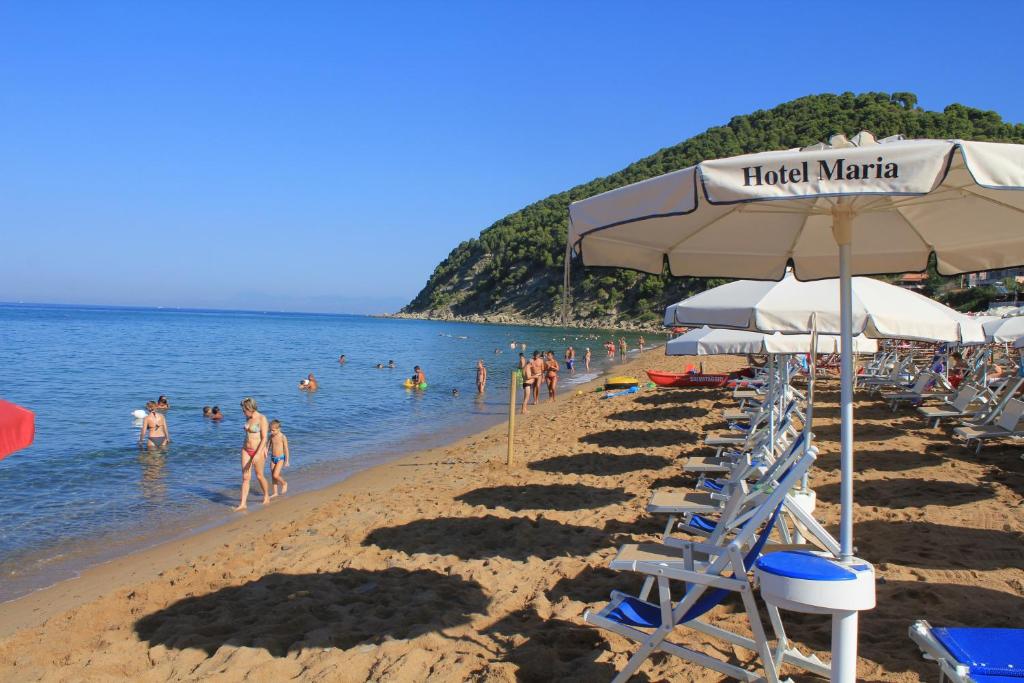 Vista ingrandita