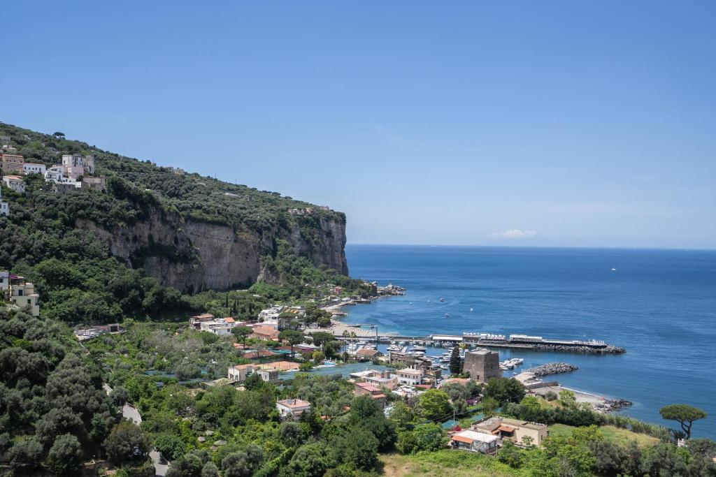 Vista ingrandita