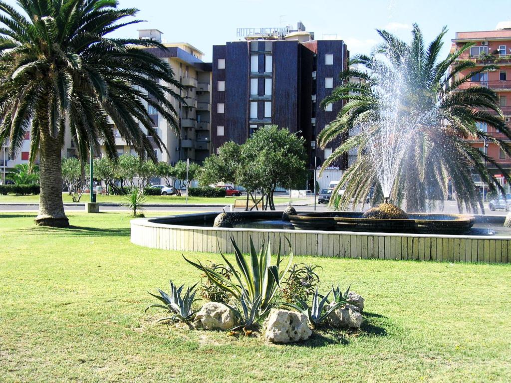 Vista ingrandita