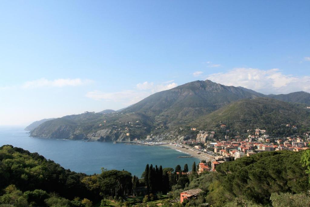 Vista ingrandita