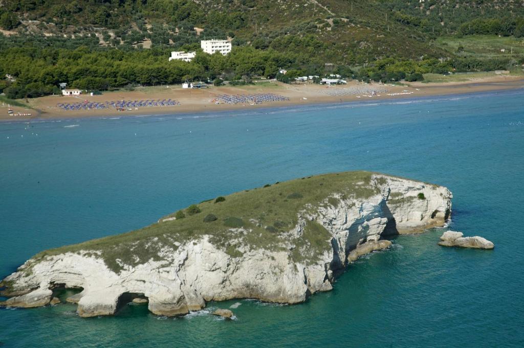 Vista ingrandita