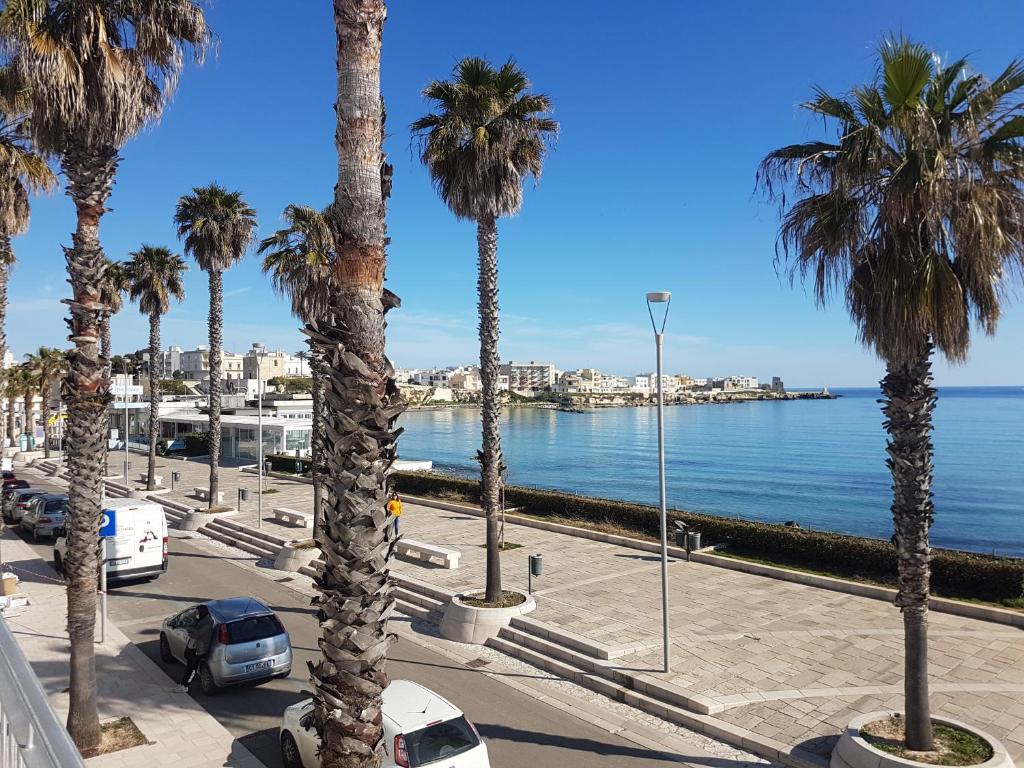 Vista ingrandita