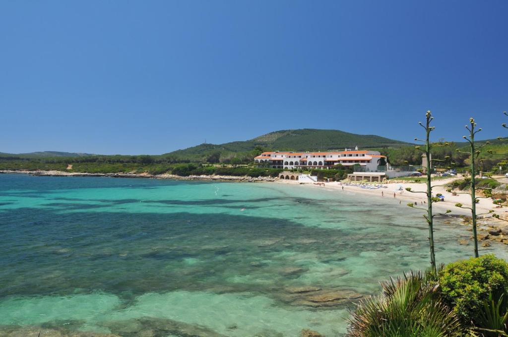 Vista ingrandita