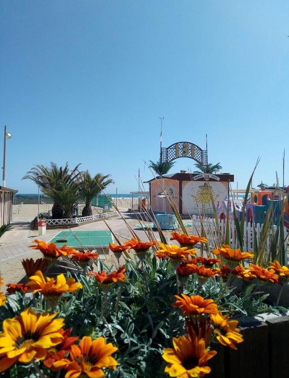 Vista ingrandita