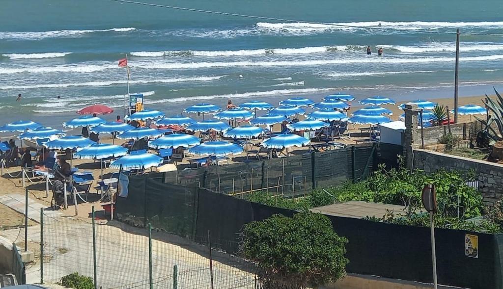 Vista ingrandita