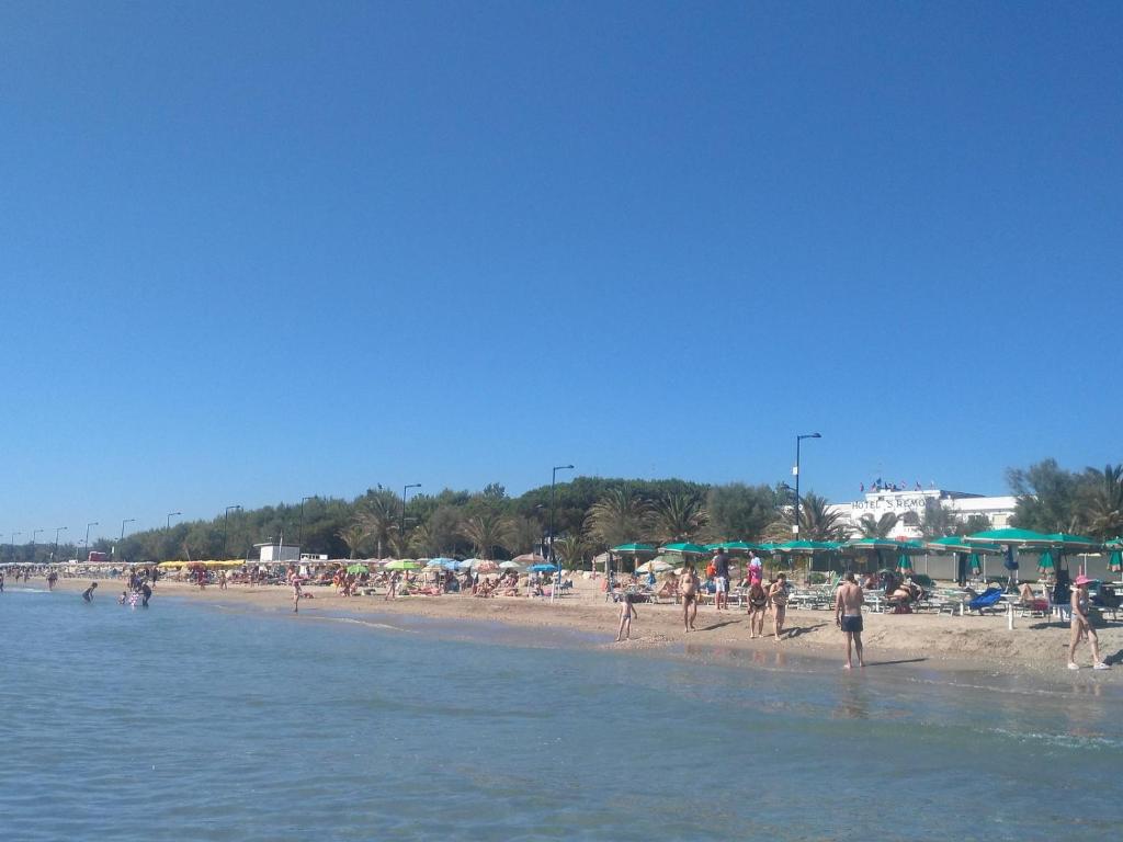Vista ingrandita