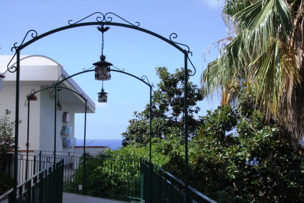 Vista ingrandita