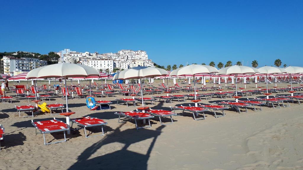 Vista ingrandita