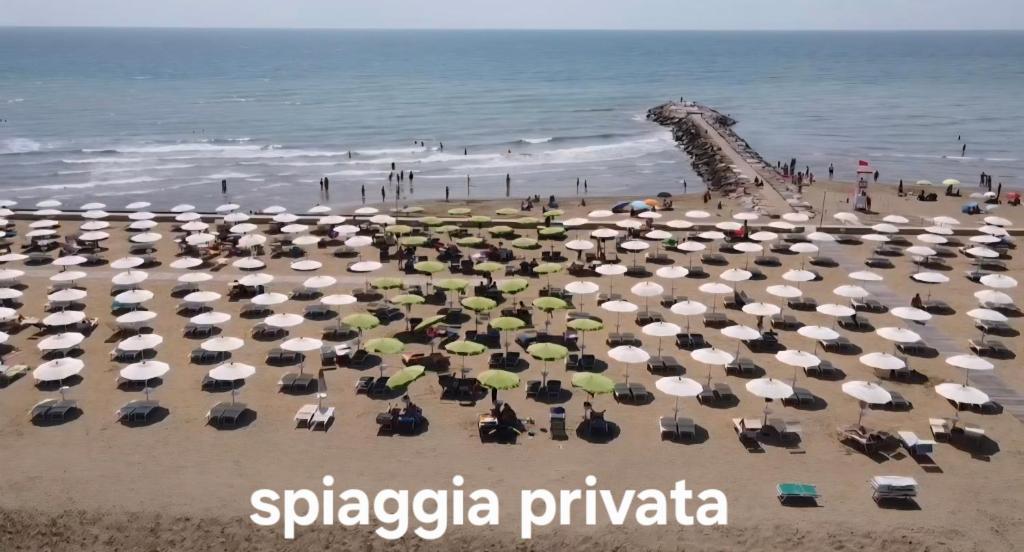 Vista ingrandita