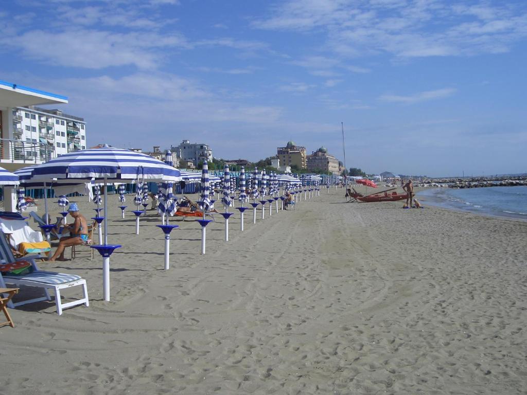 Vista ingrandita