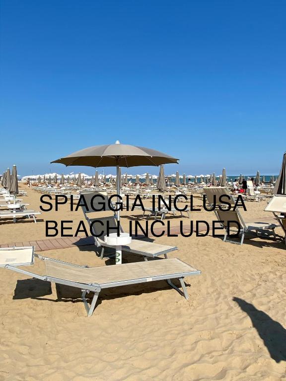 Vista ingrandita