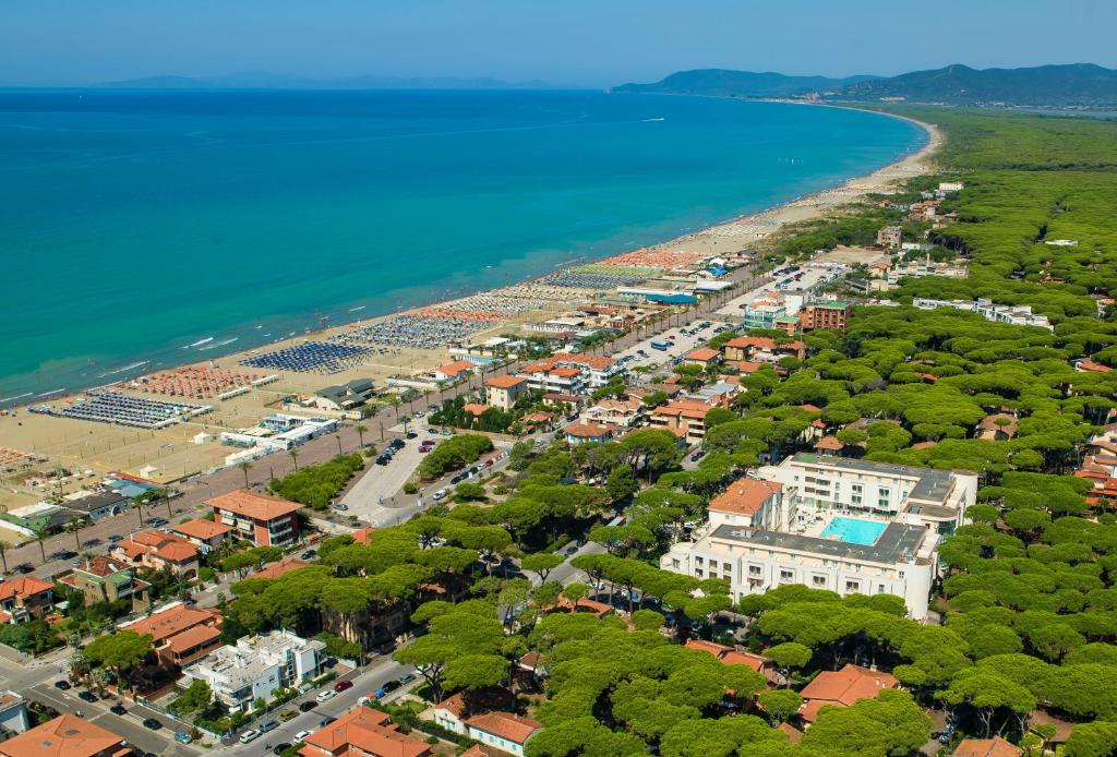 Vista ingrandita