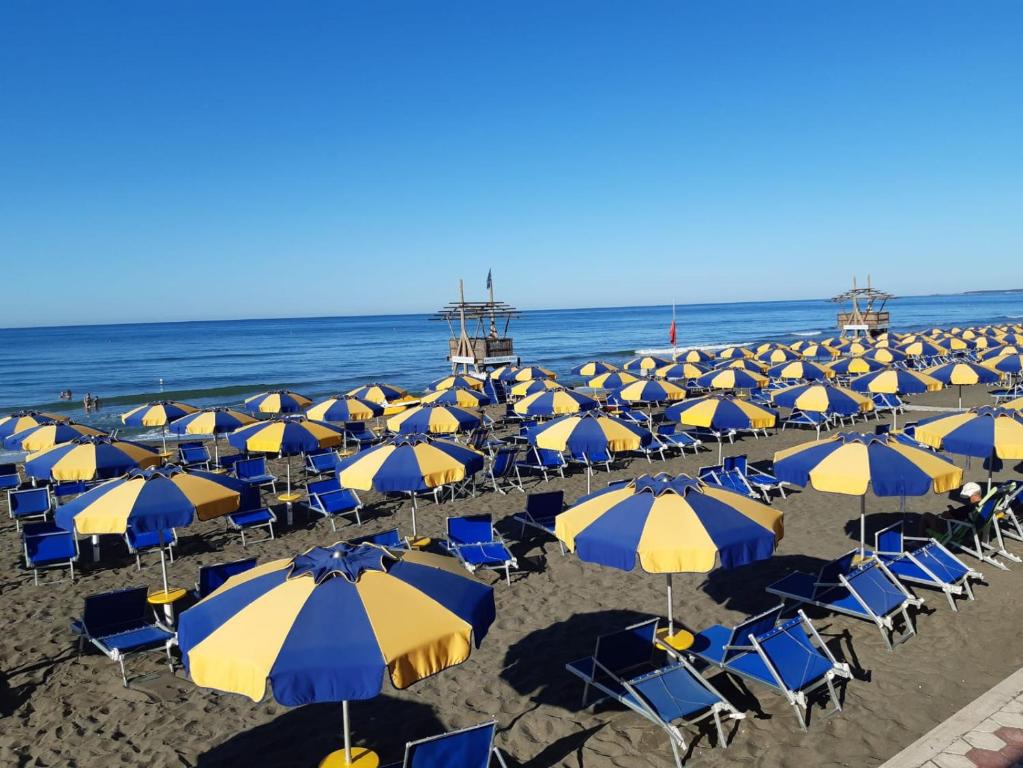 Vista ingrandita