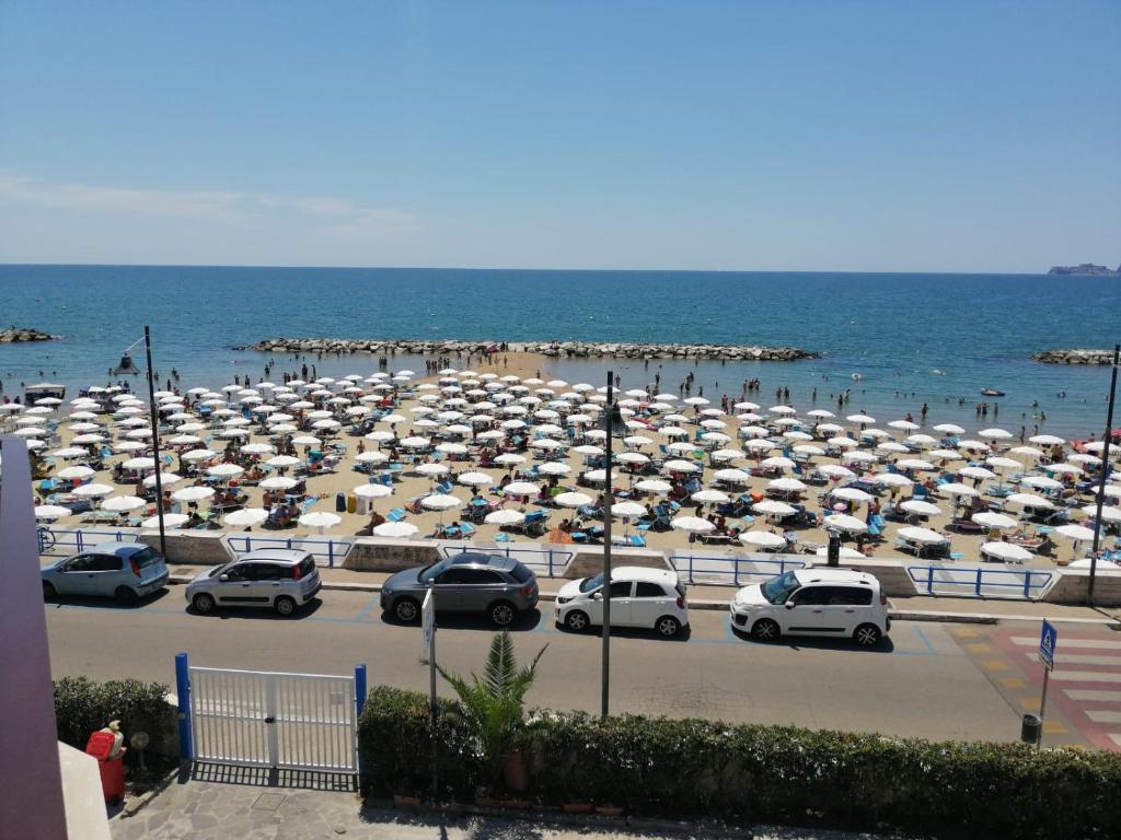 Vista ingrandita